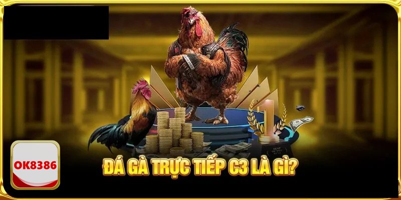 Đá Gà OK8386 - Trải nghiệm đá gà online chuẩn trường đấu Đá Gà OK8386 - Trải nghiệm đá gà online chuẩn trường đấu