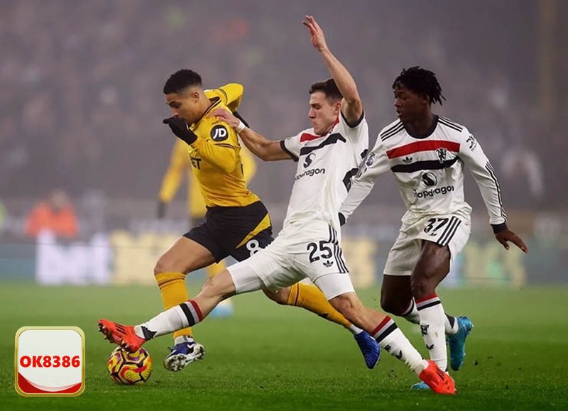 Tỷ Lệ Cá Cược OK8386 - Khái niệm cơ bản về tỷ lệ kèo Tỷ Lệ Cá Cược OK8386 - Khái niệm cơ bản về tỷ lệ kèo